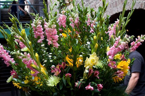 Flower_2008-07-11_IMG_0206